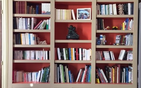 Grande bibliothèque contemporaine peinte de 2 tons