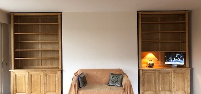 Paire de bibliothèques intemporelles, en bois naturel