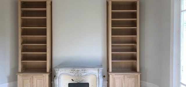 Paire de bibliothèques traditionnelles entourant une cheminée