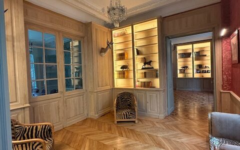 Bibliothèque d’un côté et boudoir-bar à fond de glace de l’autre